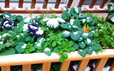 Wintergemüse Balkon: Tipps für die perfekte Ernte im Winter